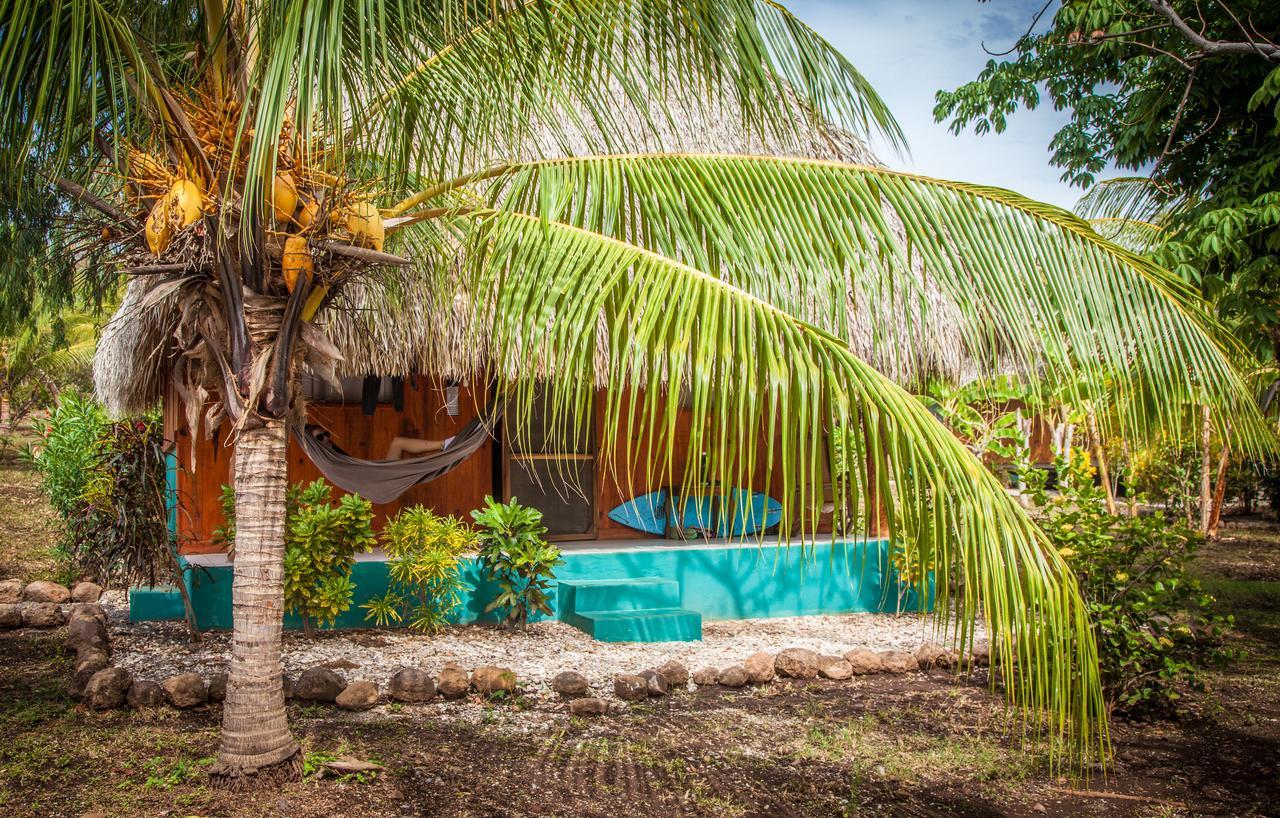 Coco Loco Eco-Resort Хемастепе Экстерьер фото